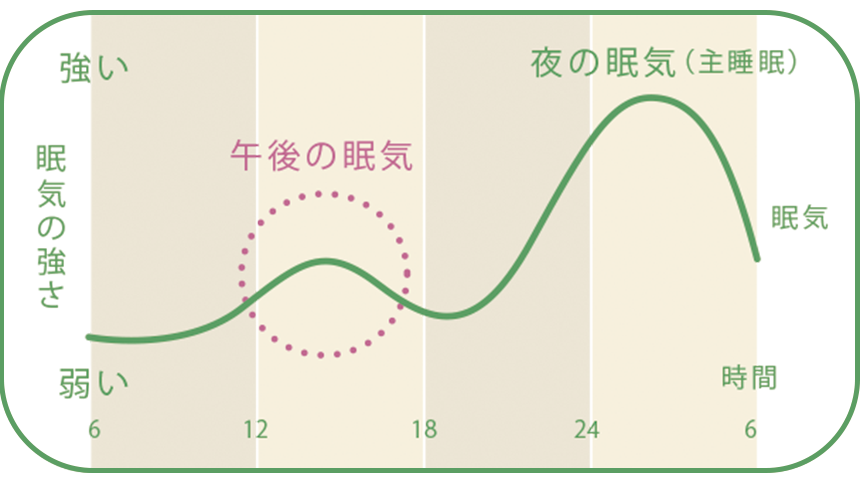 眠気の1日のリズム